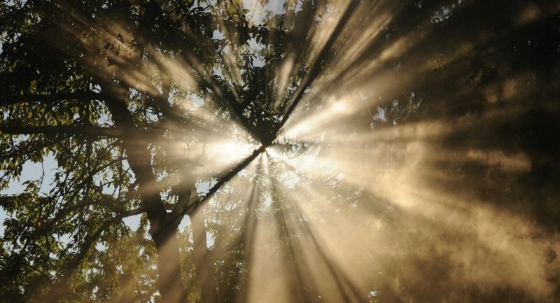 Naturalising the Quaker Concept of the 'Inner Light'