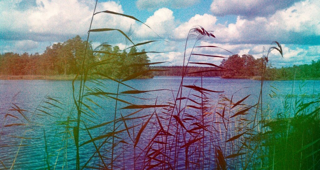 some psychedelic users are unbothered by hppd