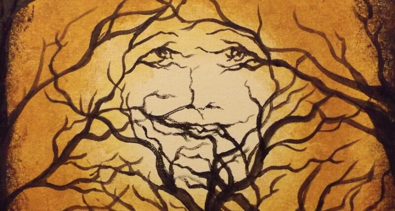 Why Are Some People More Likely to See Faces Everywhere While Tripping?